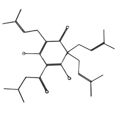 Beer Molecule
