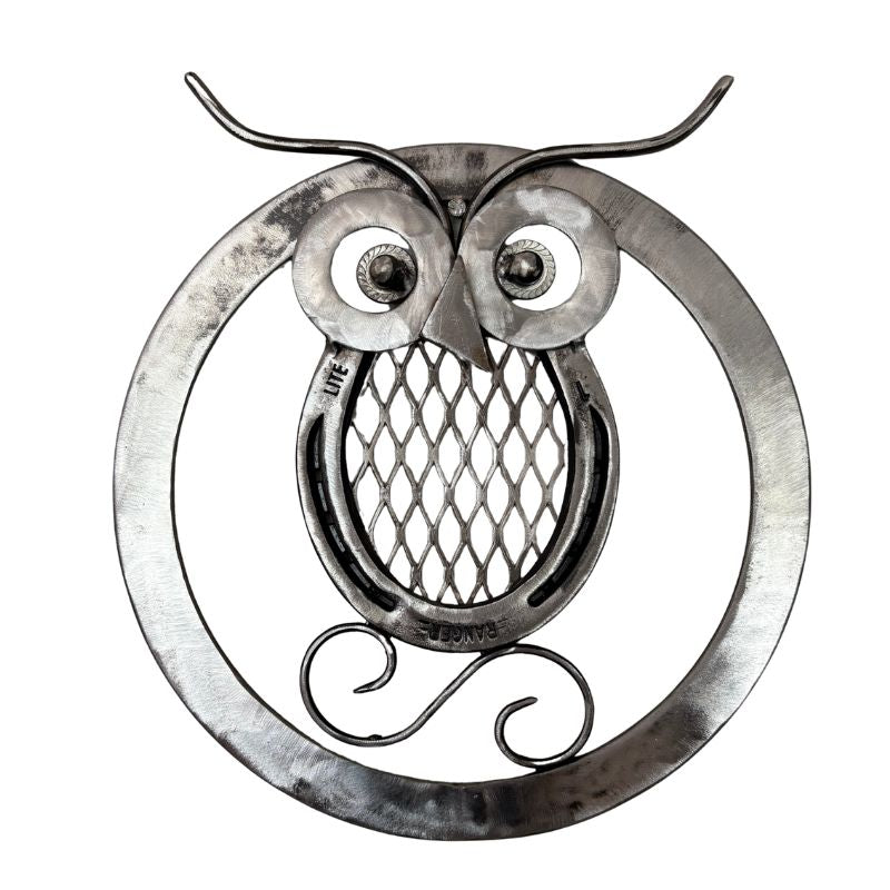 Metal Horseshoe Owl Wall Art