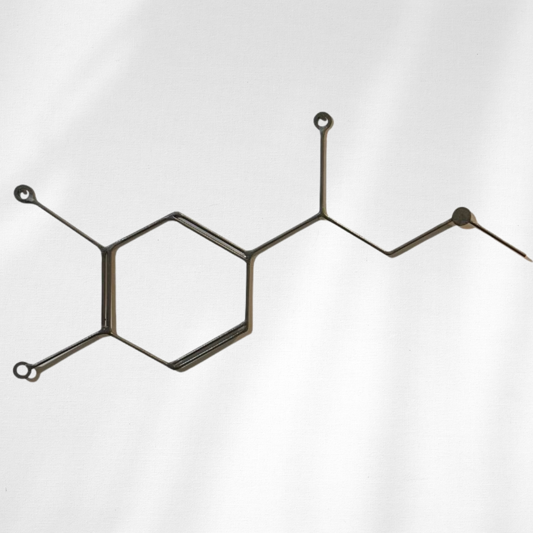 Adrenaline Molecule Metal Wall Art – Handmade Steel Science Decor – Chemical Structure Art for Home, Office & Gifts
