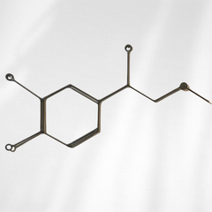 Adrenaline Molecule Metal Wall Art – Handmade Steel Science Decor – Chemical Structure Art for Home, Office & Gifts
