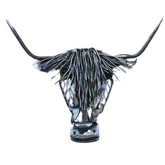Highland Cow