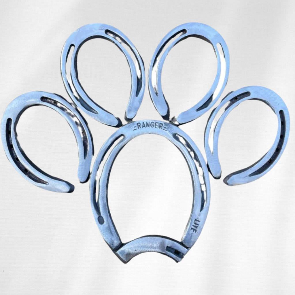 Horseshoe Paw Print Wall Art – Handmade Metal Pet Paw Decor – Pet Paw Steel Wall Sculpture – Horseshoe Pet Memorial Wall Hanging